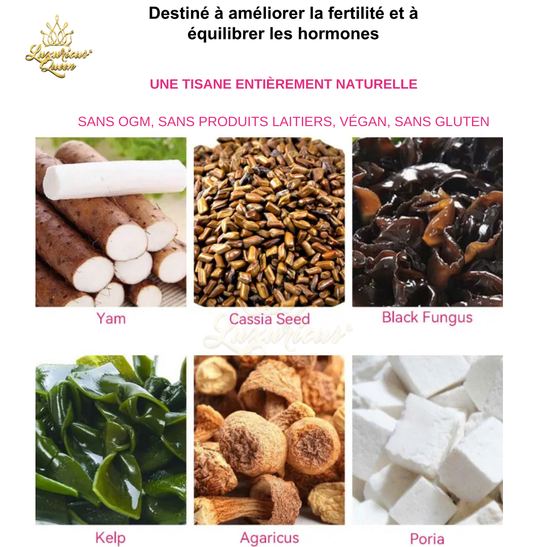 Fertility: Mama Tea (tisane de fertilité)