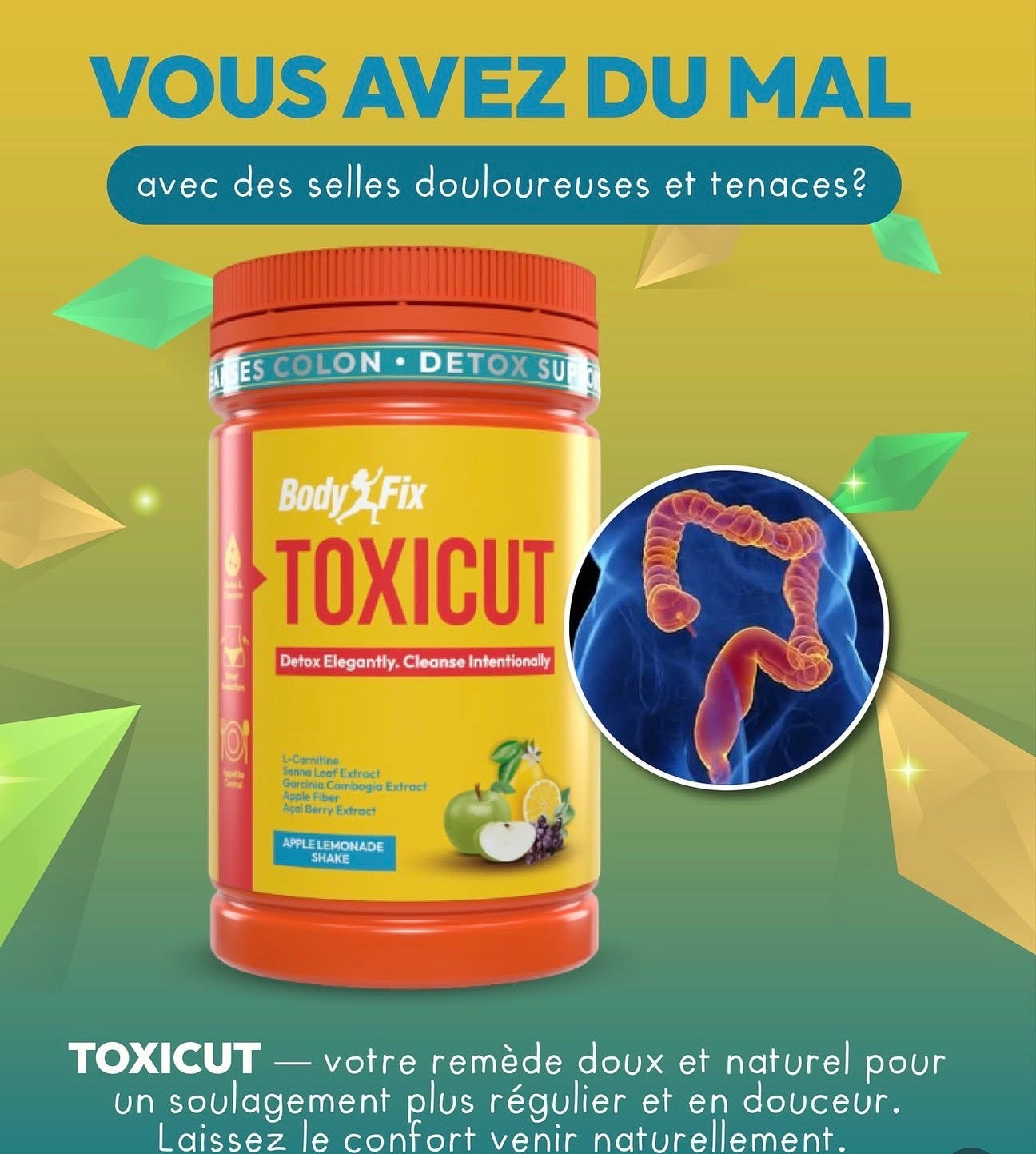 BodyFix TOXICUT by Satin Skinz: la boisson détox qui aide à nettoyer tout le corps avec élégance