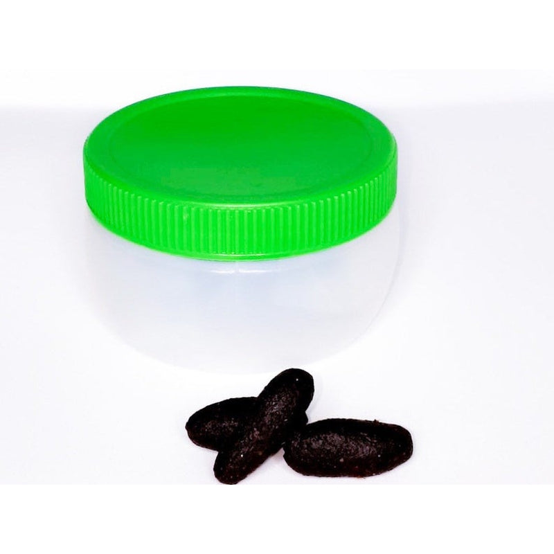 Botcho suppositories – luxurious-queen.fr